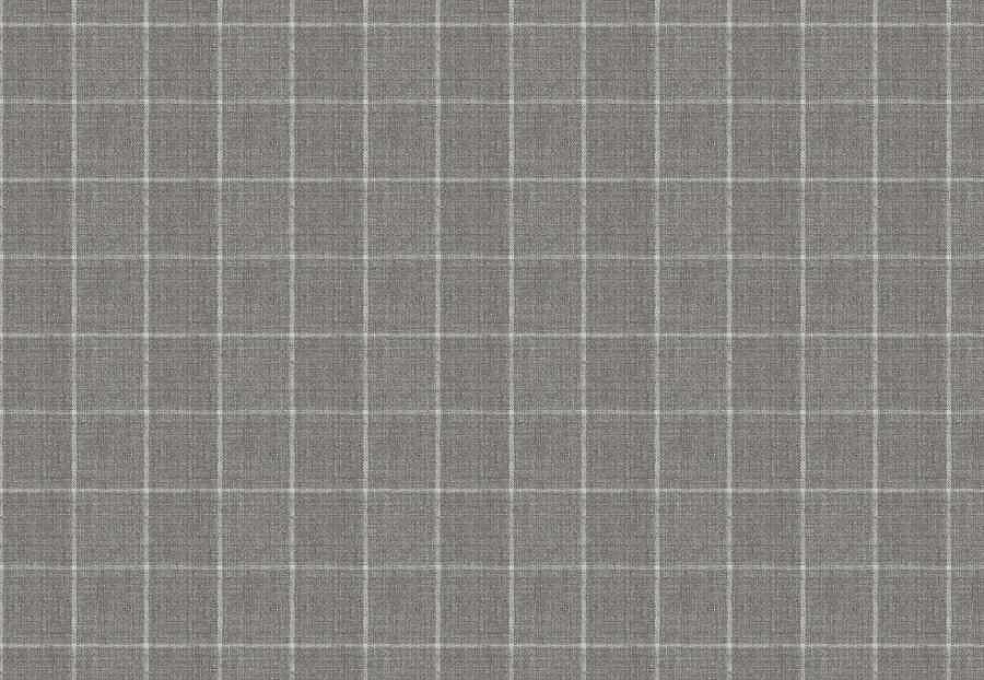 Ткань Fabricut Checks&Stripes Avalon Lane SweetGrass/Pewter