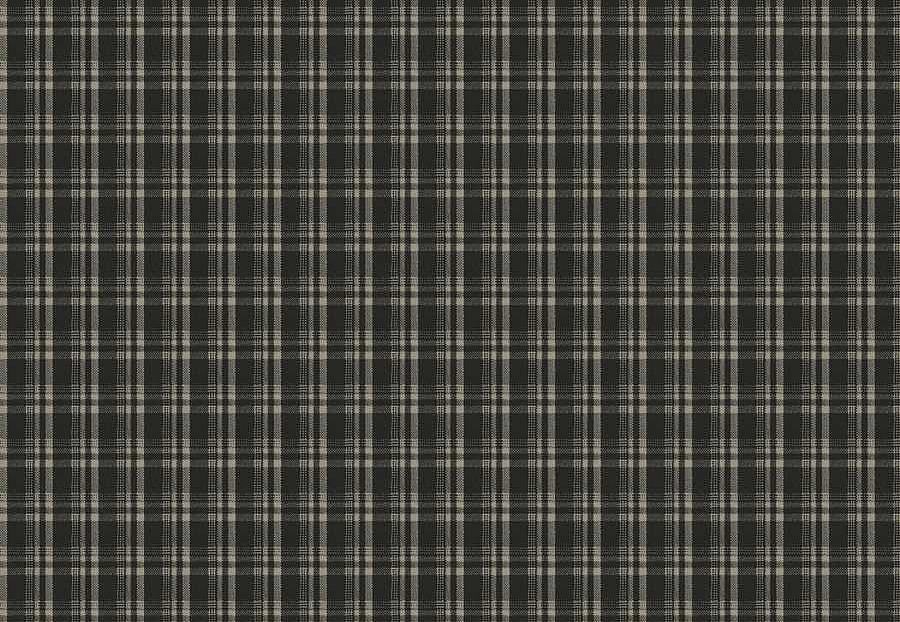 Ткань Fabricut Checks&Stripes Avalon Lane Tornado/Ebony