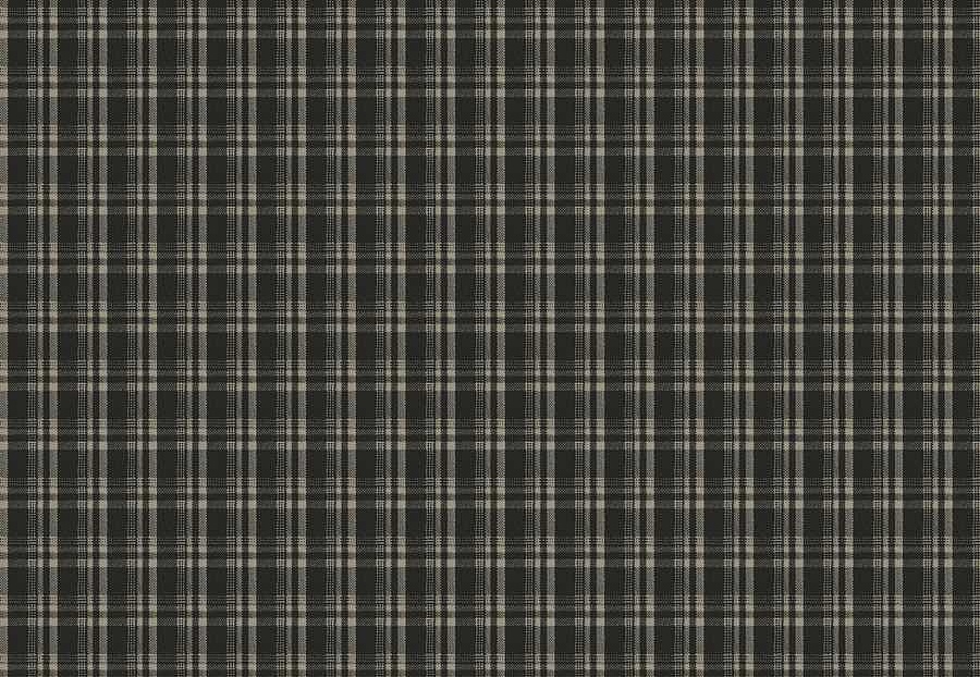 Ткань Fabricut Checks&Stripes Avalon Lane Tornado/Ebony