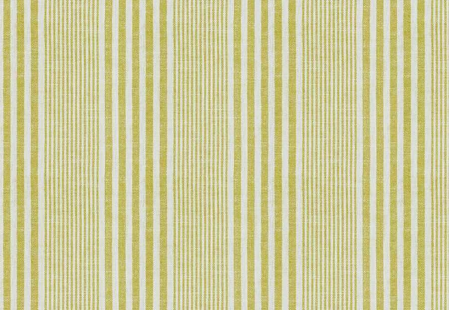 Ткань Trend Echo Citrus/Coral 05137/Citrus