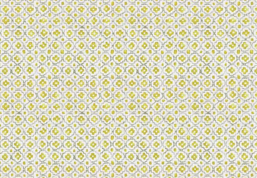 Ткань Trend Echo Citrus/Coral 05136/Citrus