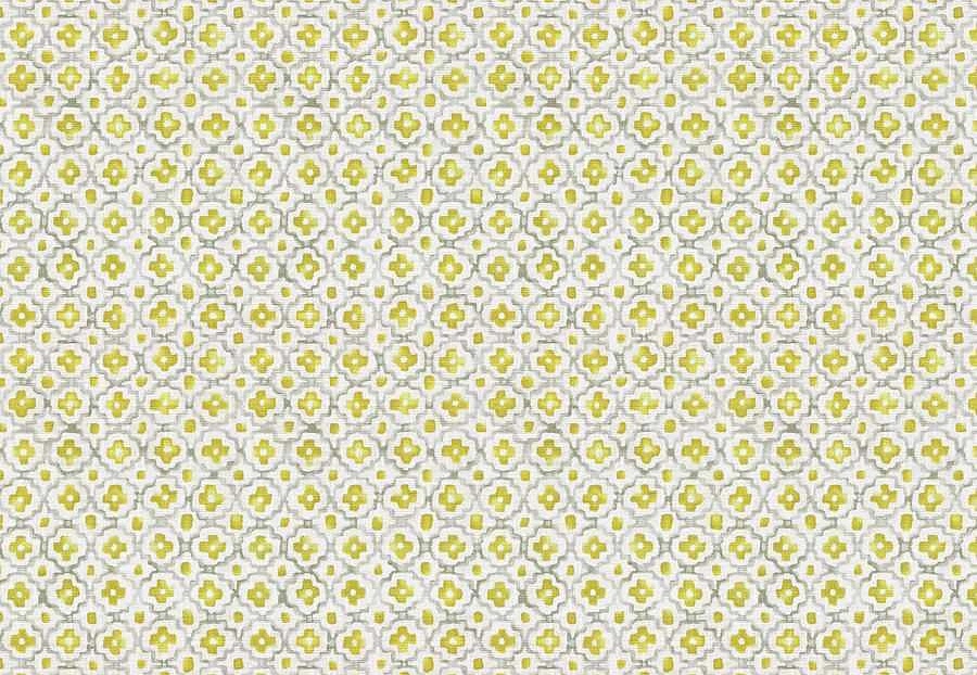 Ткань Trend Echo Citrus/Coral 05136/Citrus