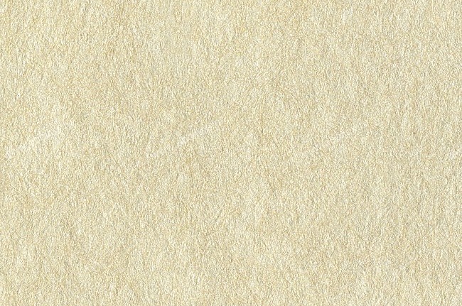 Обои York Ronald Redding - Sculptured Surfaces II NA0272