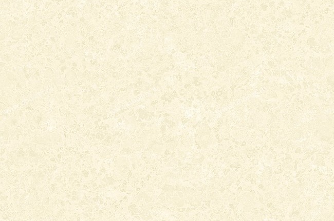 Обои York The Carlisle Company - Aged Elegance II BW8171