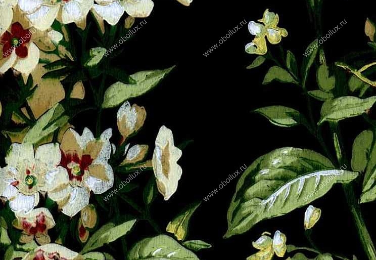 Обои York Ashford House - Flowers S.E. CF-6313