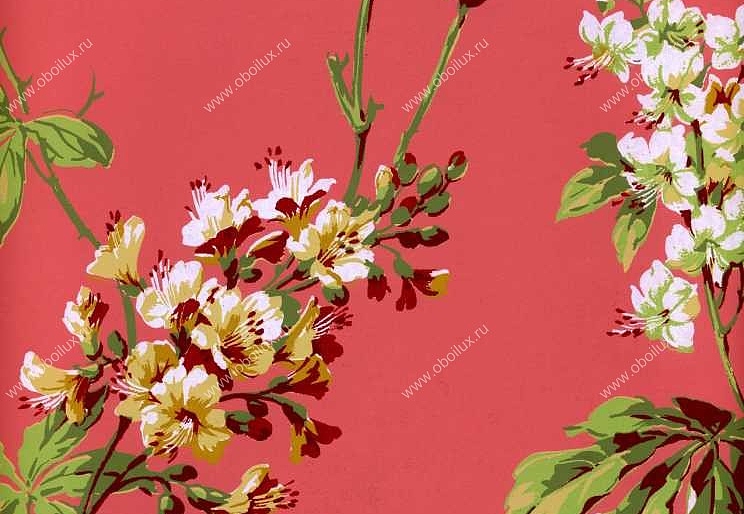 Обои York Ashford House - Flowers S.E. NH6058