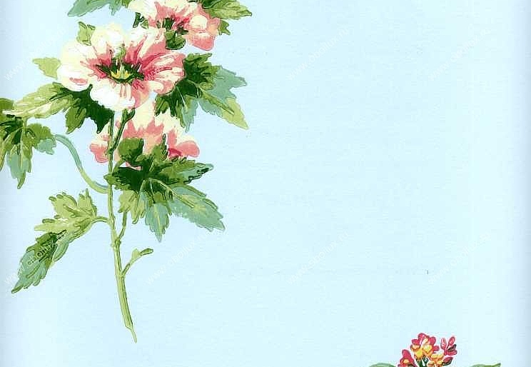 Обои York Ashford House - Flowers S.E. WU0715