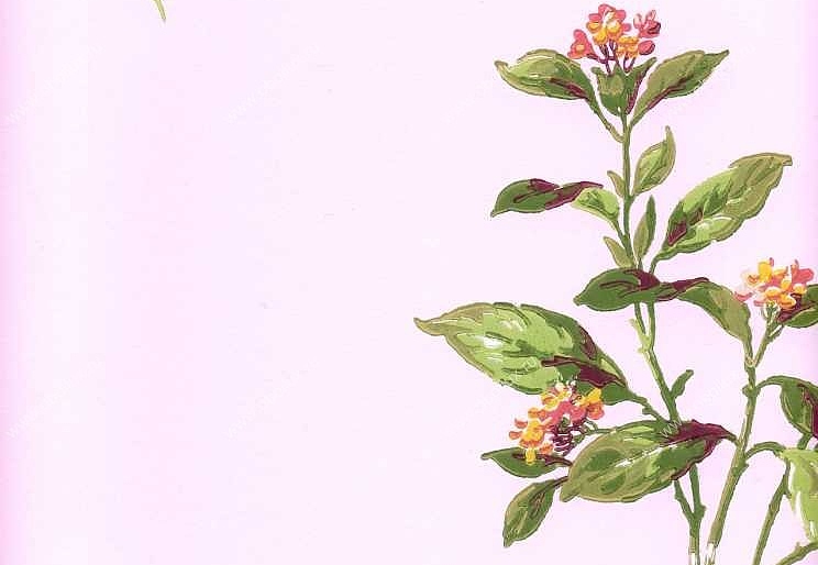 Обои York Ashford House - Flowers S.E. WU0718