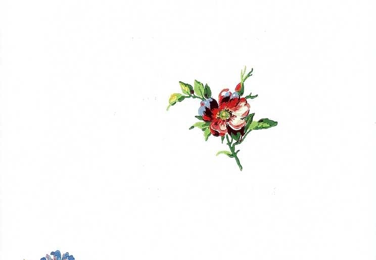 Обои York Ashford House - Flowers S.E. WU0722