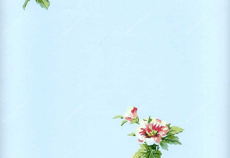 Обои York Ashford House - Flowers S.E. WU0723