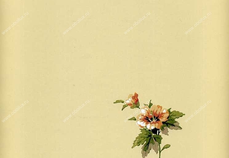 Обои York Ashford House - Flowers S.E. WU0725