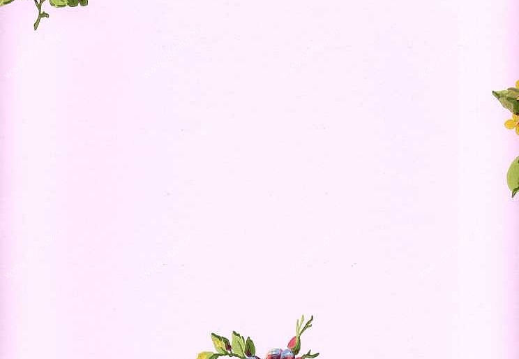 Обои York Ashford House - Flowers S.E. WU0726