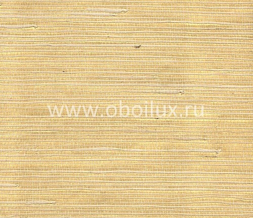 Обои York Ronald Redding - Natural Resources CO2091