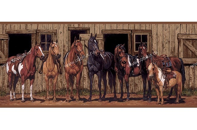 Бордюр York Border Portfolio BG1732BD