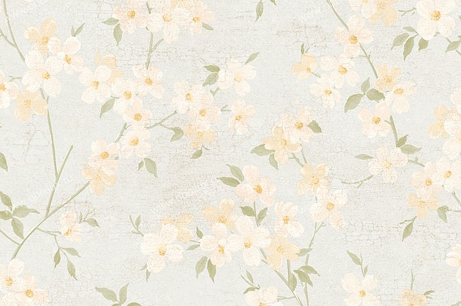 Обои York West Wind Design WW4449