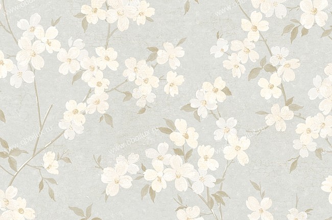 Обои York West Wind Design WW4450