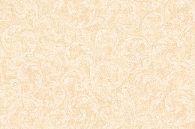 Обои York West Wind Design WW4518