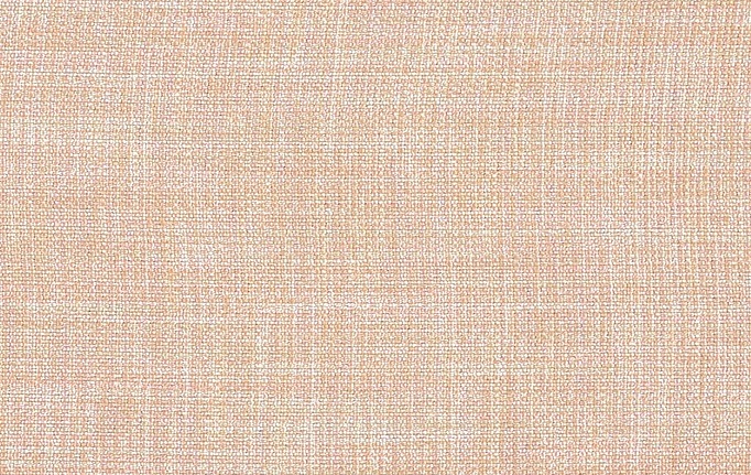 Английская ткань Designers Guild, коллекция Ishida, артикул F1393/46