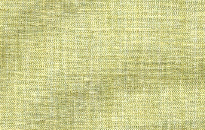 Английская ткань Designers Guild, коллекция Ishida, артикул F1393/41