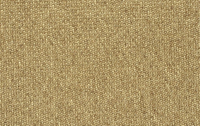 Английская ткань Designers Guild, коллекция Ishida, артикул FDG2170/03