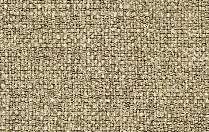 Английская ткань Zoffany, коллекция Elswick, артикул 332812