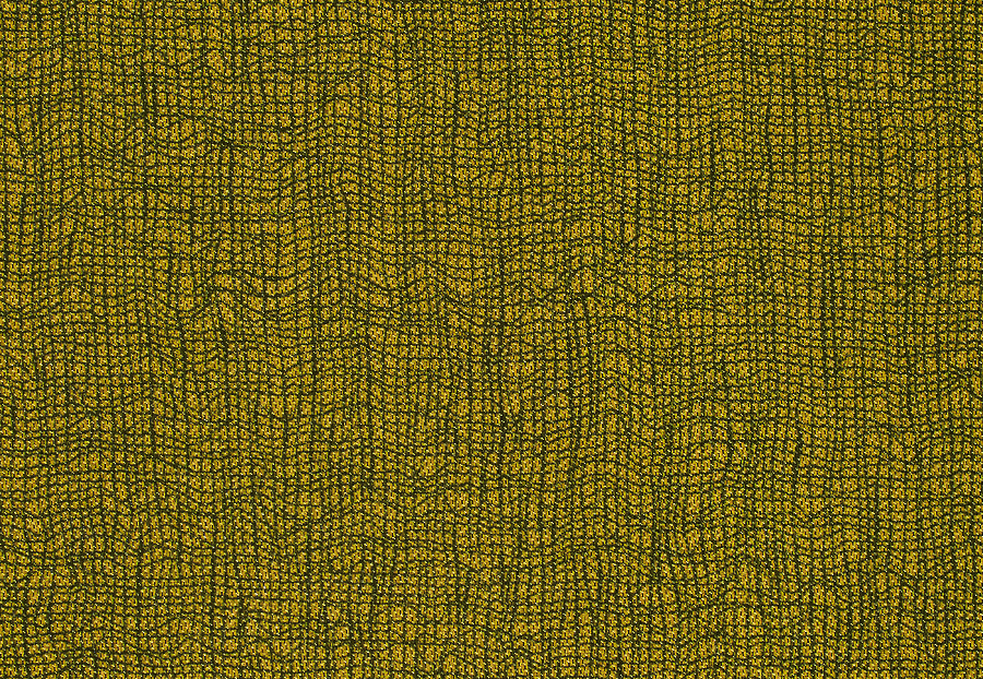 Ткань Anthology Mesh 132137