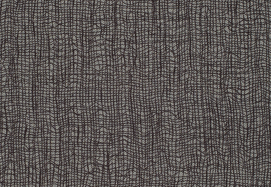 Ткань Anthology Mesh 132130