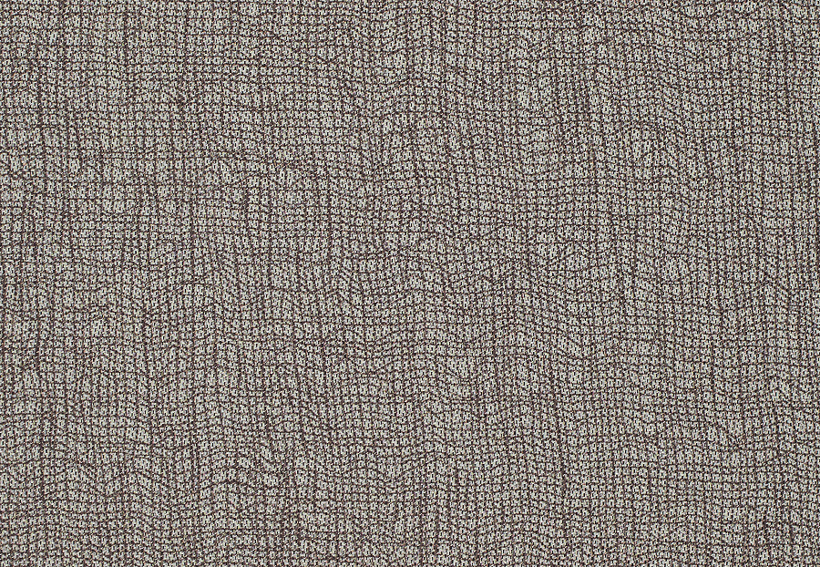 Ткань Anthology Mesh 132128