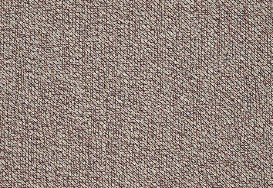 Ткань Anthology Mesh 132127