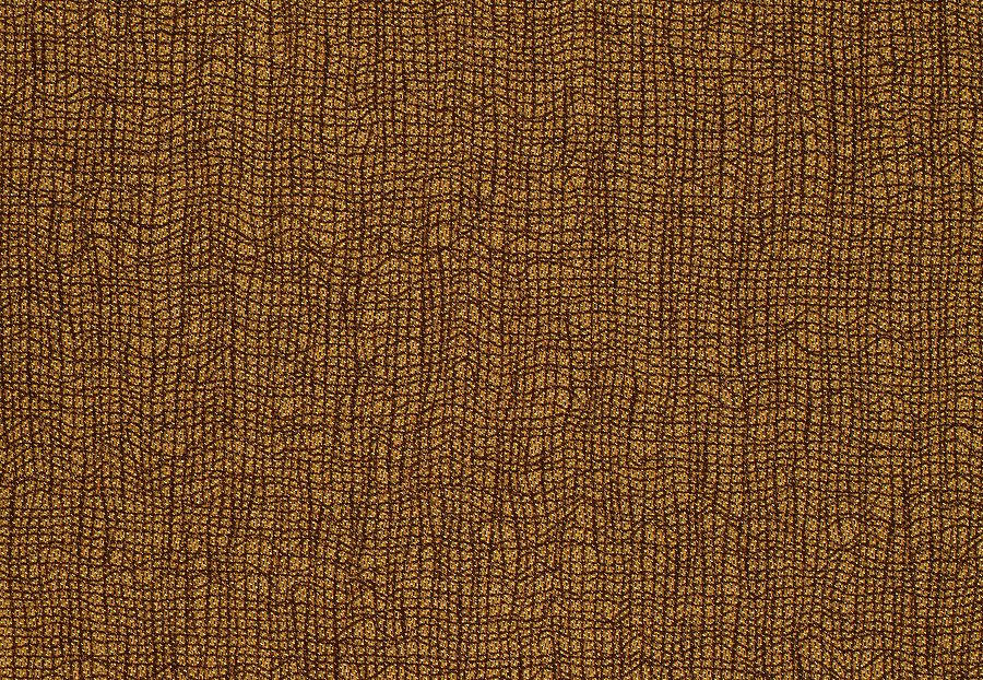 Ткань Anthology Mesh 132121