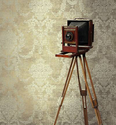 Обои KT-Exclusive Maison Gallerie OL90105