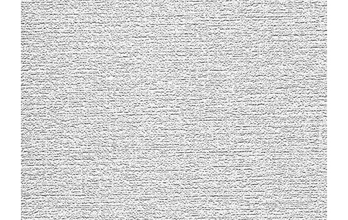 Немецкие обои A. S. Creation, коллекция Antivandal, артикул 3010-016