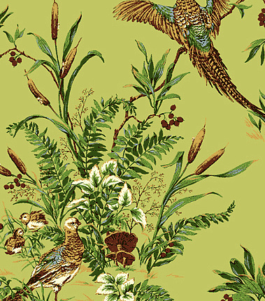 Обои Jaima Brown Retreat Pheasant-Run-Lime