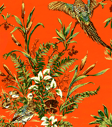 Обои Jaima Brown Retreat Pheasant-Run-Persimmon