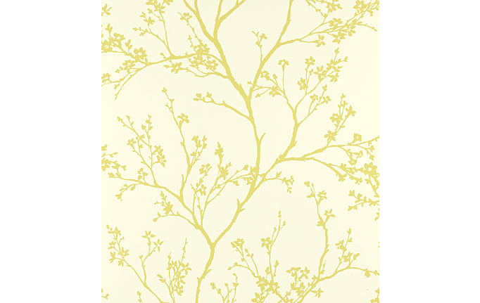 Американские обои Schumacher, коллекция Modern Nature, артикул 5003342