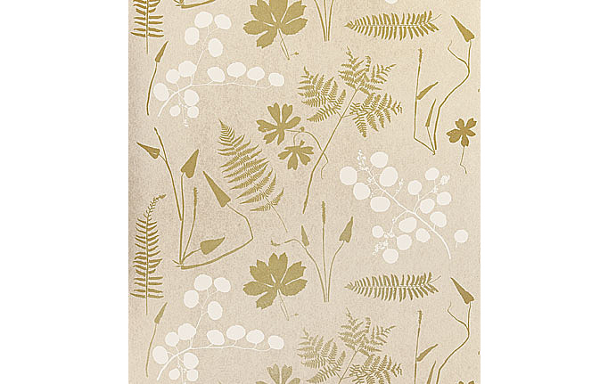 Американские обои Schumacher, коллекция Modern Nature, артикул 5005010
