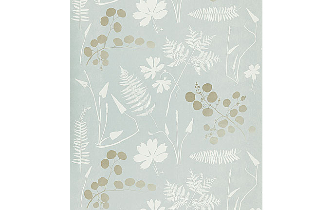 Американские обои Schumacher, коллекция Modern Nature, артикул 5005011