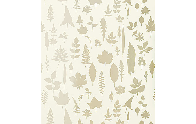 Американские обои Schumacher, коллекция Modern Nature, артикул 5005020