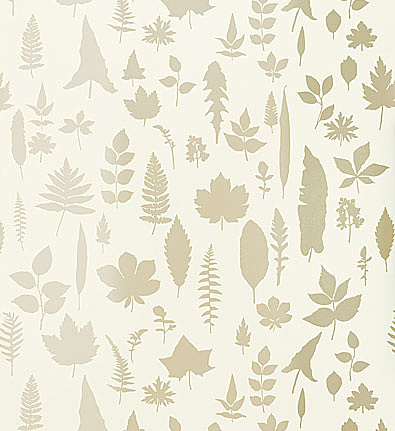 Обои Schumacher Modern Nature 5005020
