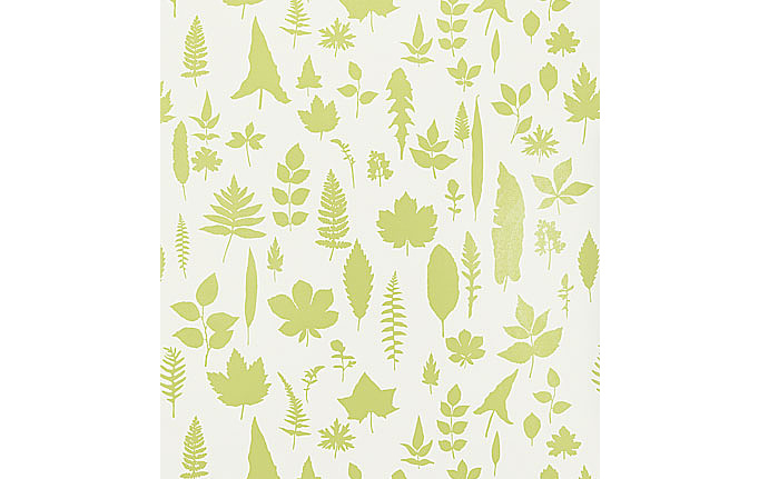 Американские обои Schumacher, коллекция Modern Nature, артикул 5005021