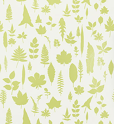 Обои Schumacher Modern Nature 5005021