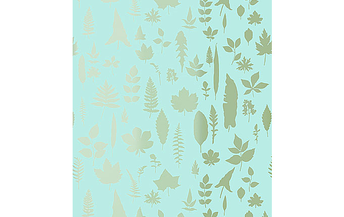 Американские обои Schumacher, коллекция Modern Nature, артикул 5005022