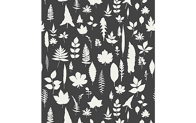 Американские обои Schumacher, коллекция Modern Nature, артикул 5005023