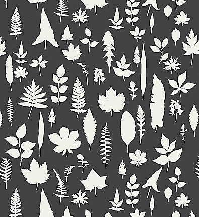 Обои Schumacher Modern Nature 5005023