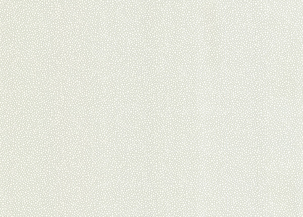Обои Chesapeake Kitchen & Bath Resource III 347-20022
