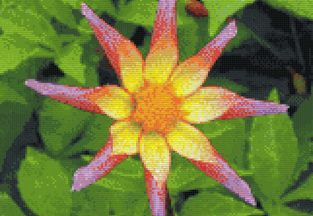 Обои Mozzle Floral MZ00516-001