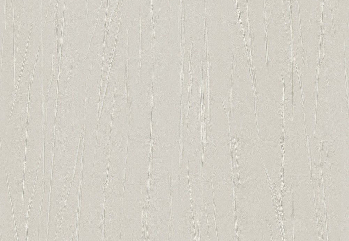 Обои Rasch Passepartout 605945