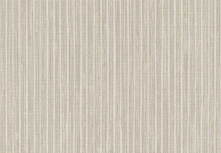 Обои Rasch Passepartout 606737