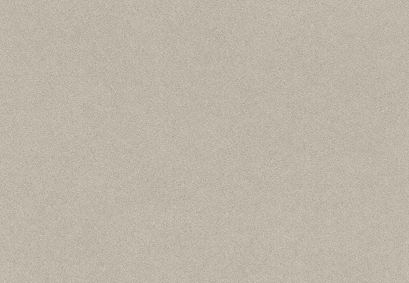 Обои Rasch Passepartout 607284