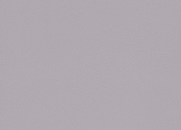 Обои Rasch Blue Velvet 610024